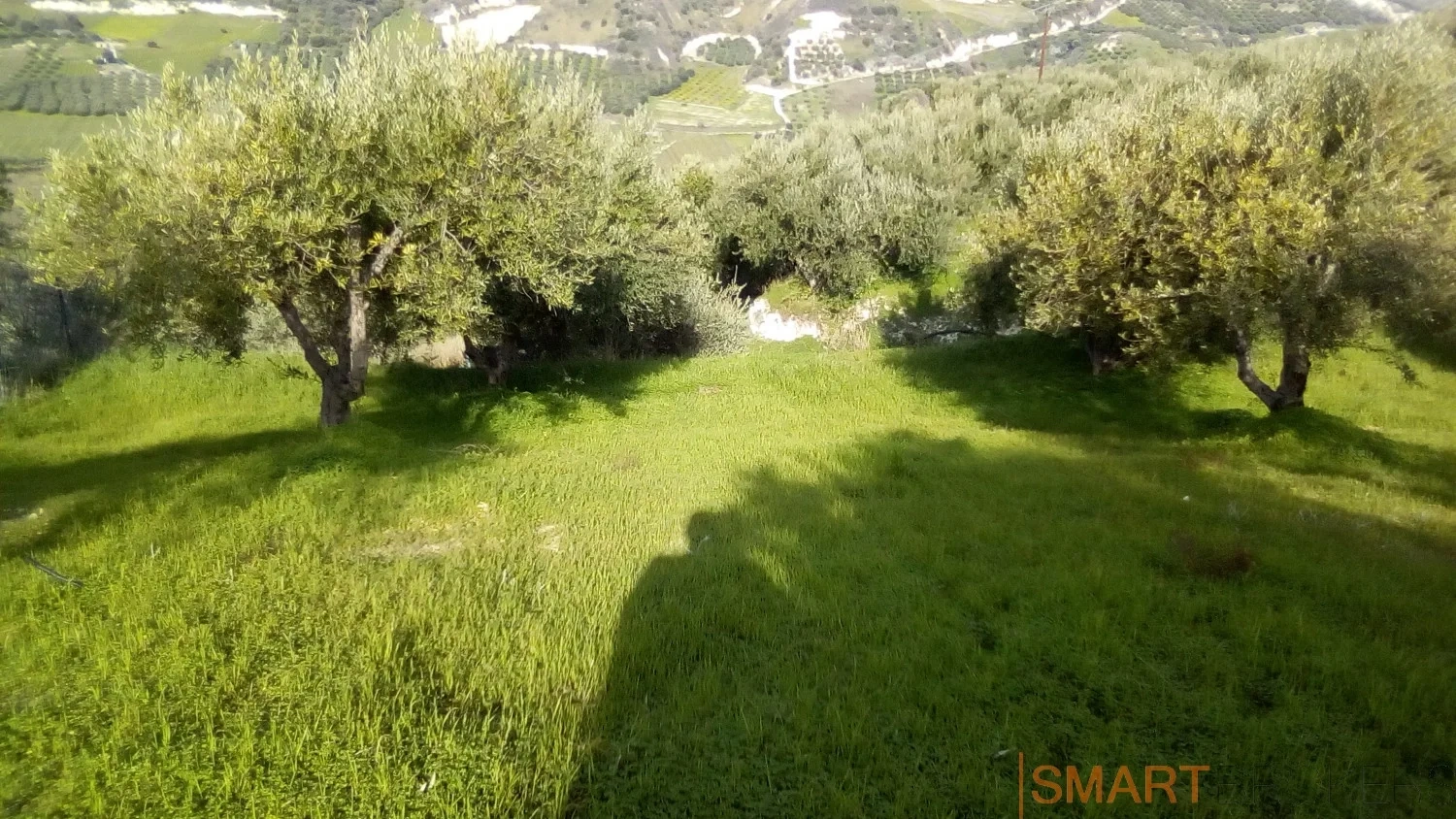 2 - vente terrain héraklion crète grèce