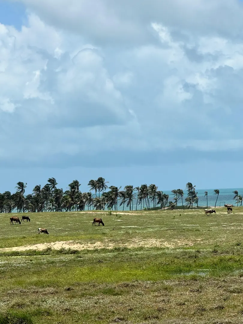 2 - venta terreno vista al mar taiba ceará brasil