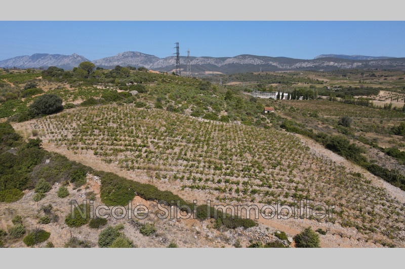 1 - verkoop terrein tautavel pyrénées-orientales frankrijk