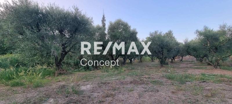 2 - venta terreno zante islas jónicas grecia