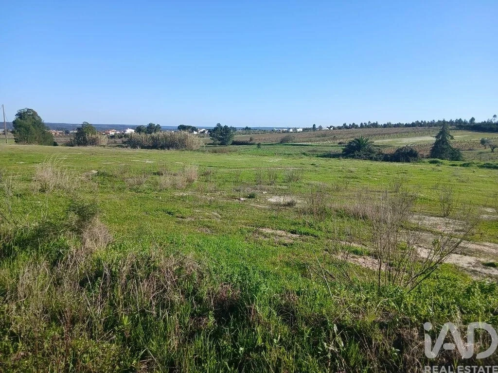 2 - vente terrain almeirim alentejo portugal