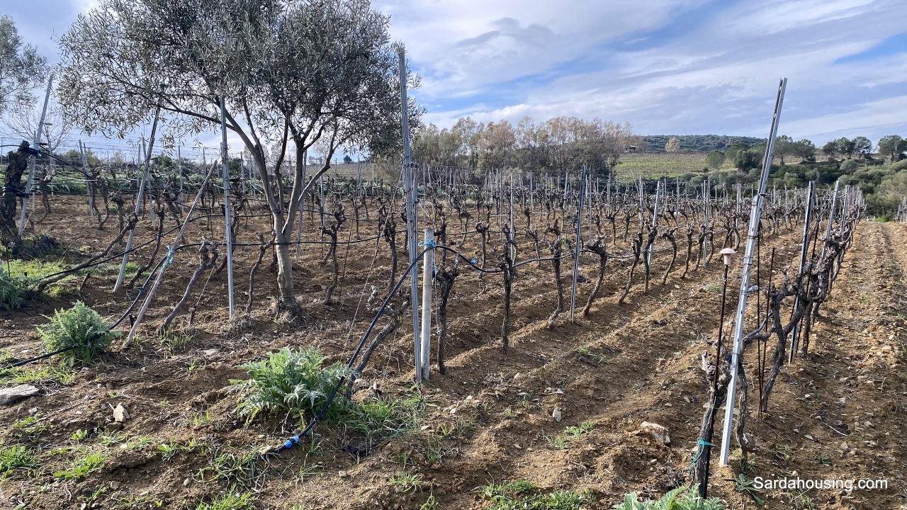 1 - plot of land for sale in soleminis sardinia italy