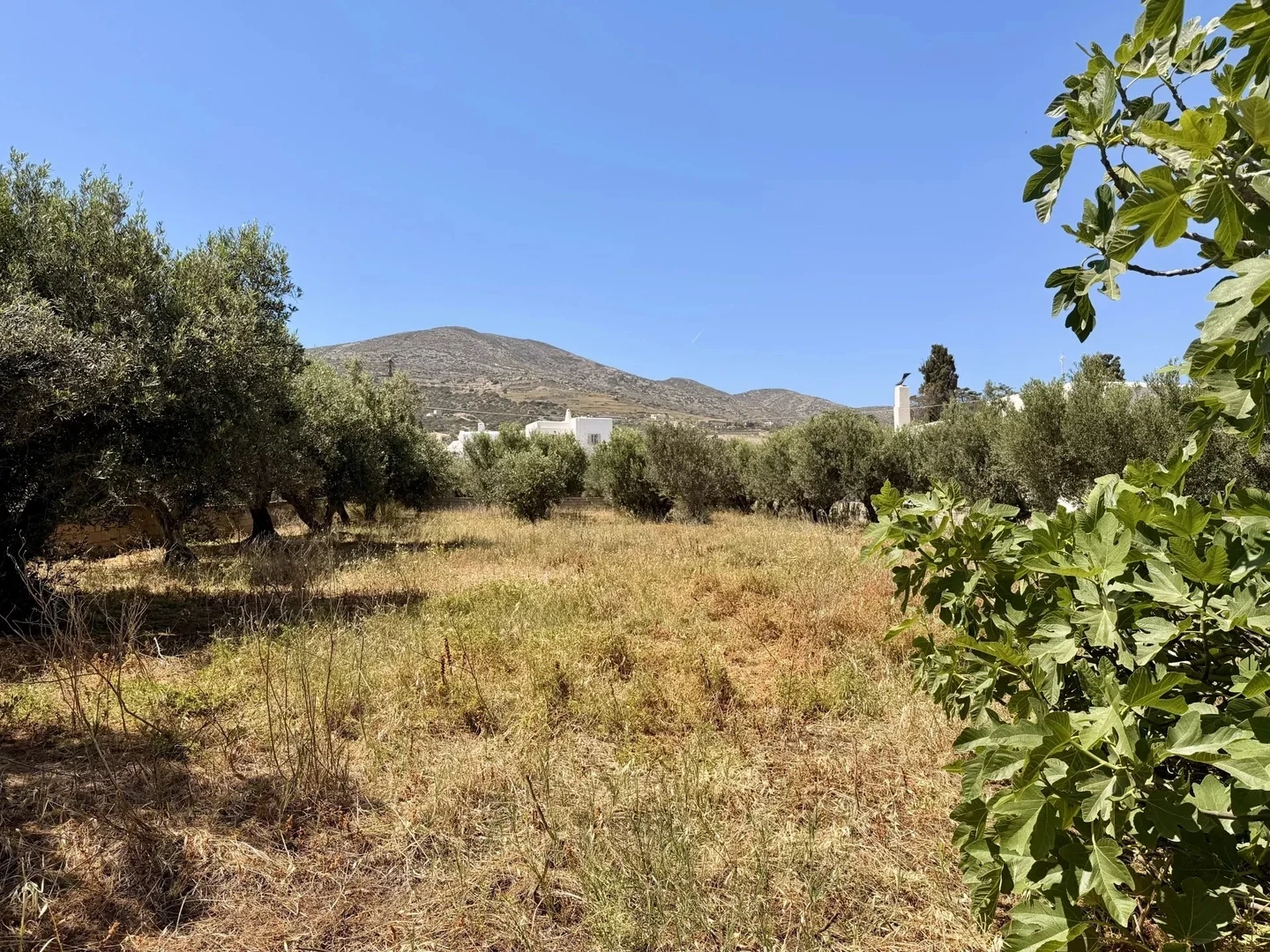 1 - venta terreno paros - cícladas egeo meridional grecia