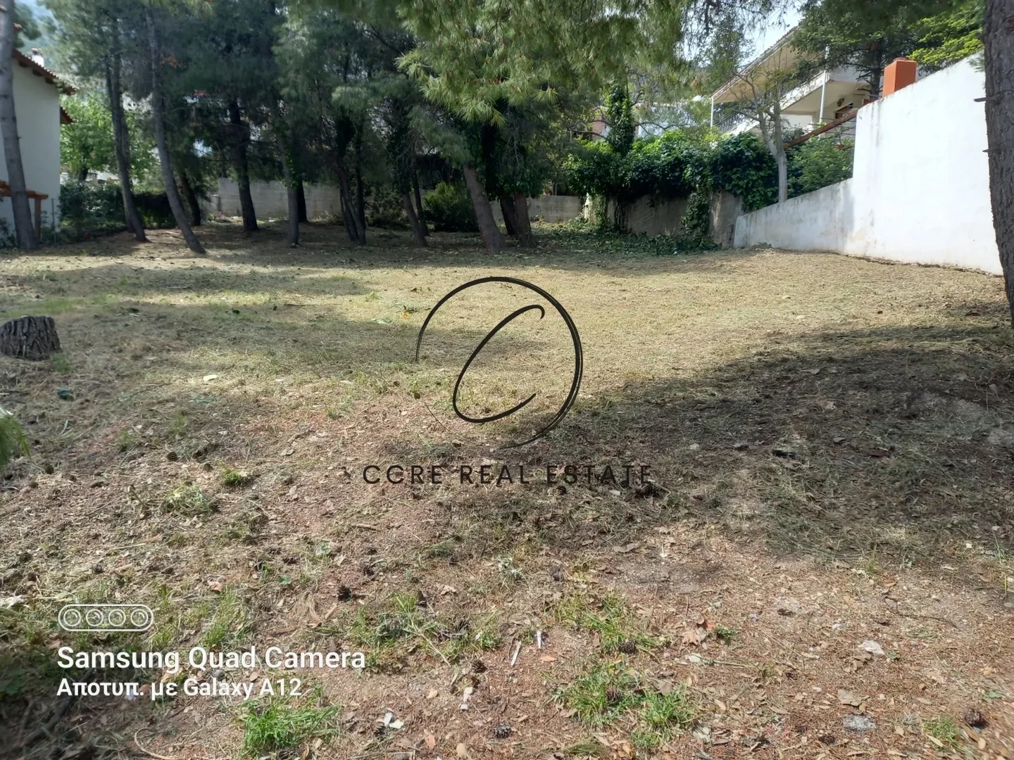 1 - vente terrain dionysos attique grèce