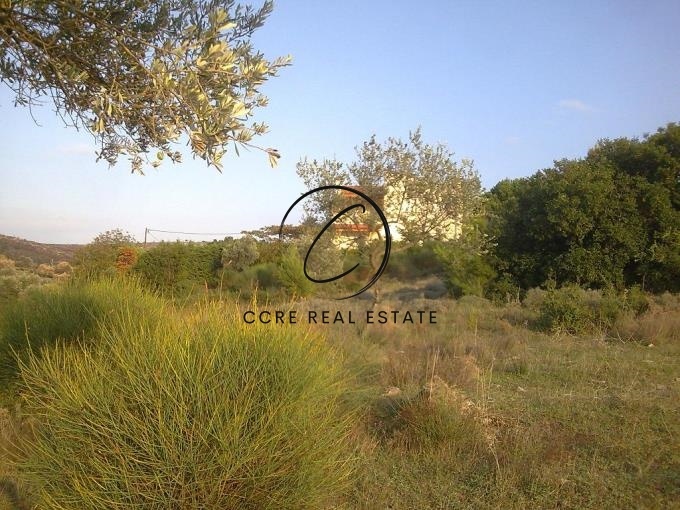 2 - plot of land for sale in ano souli attica greece