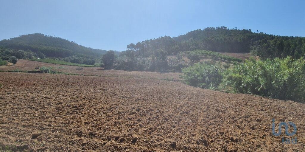 1 - vente terrain mafra région de lisbonne portugal