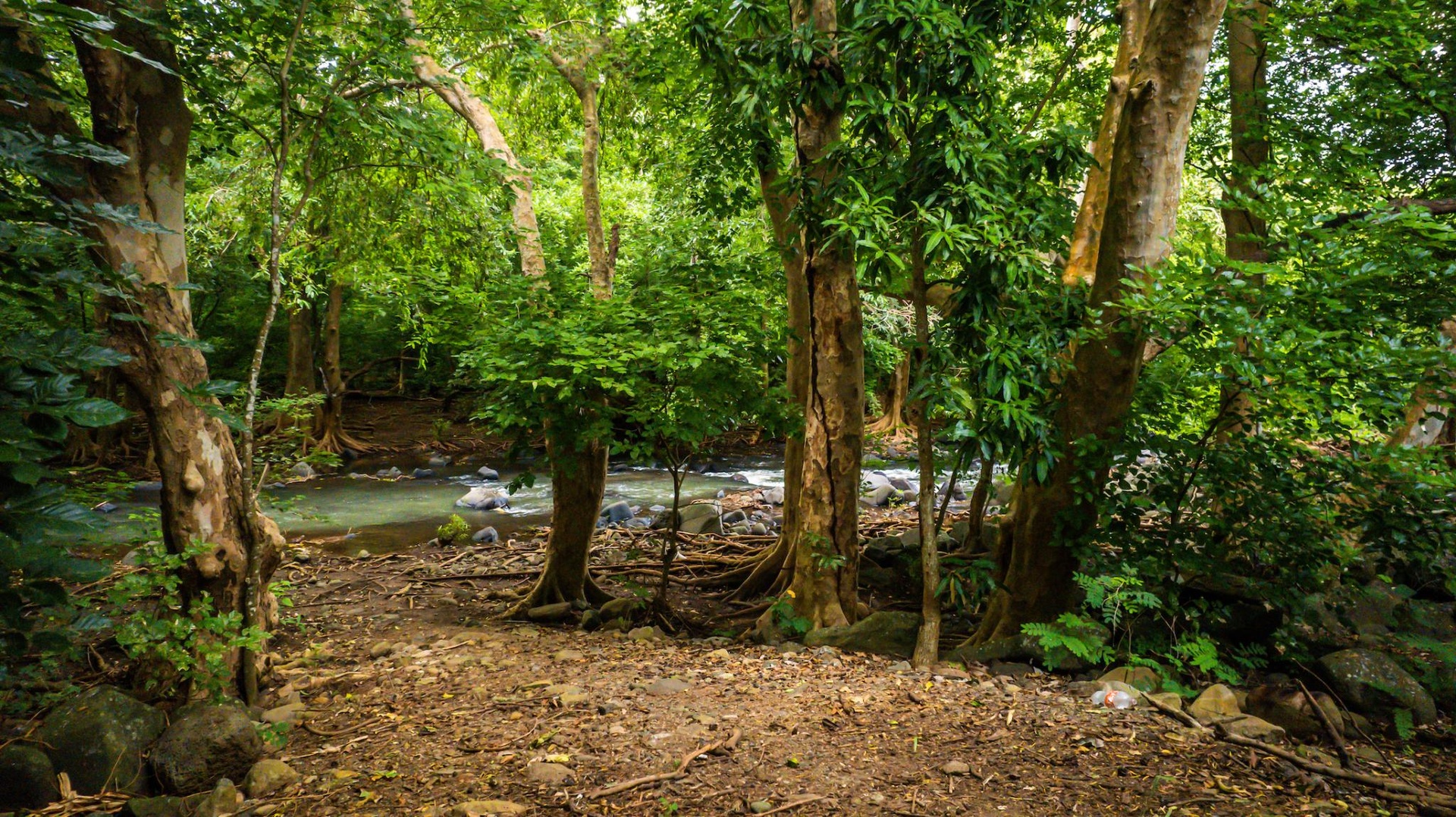 1 - plot of land for sale in tamarin rivière noire mauritius
