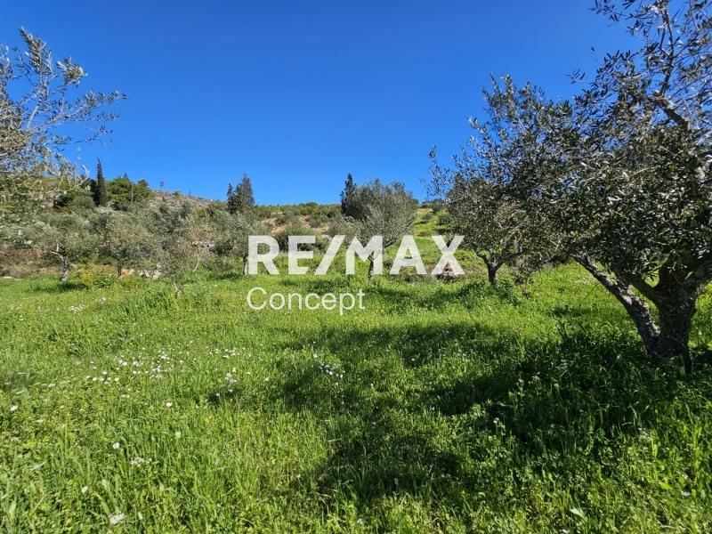 2 - venta terreno zante islas jónicas grecia
