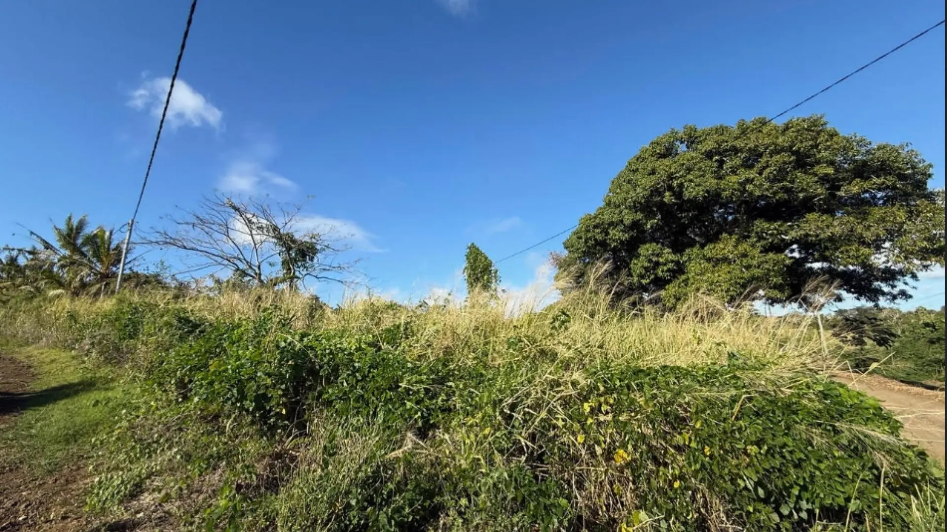 1 - plot of land for sale in grand baie rivière du rempart mauritius