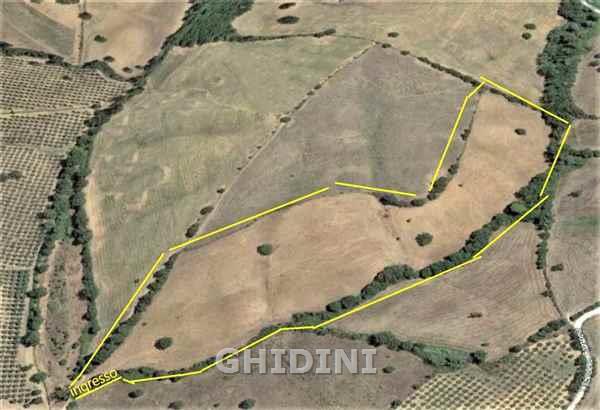 2 - продажа территория grosseto тоскана италия