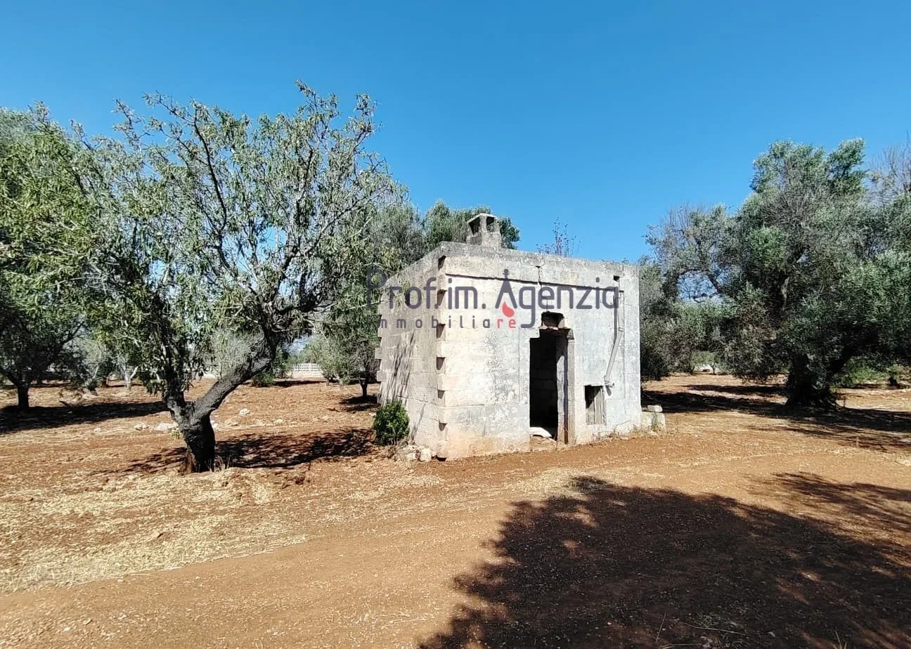 2 - verkoop huis carovigno apulia italië