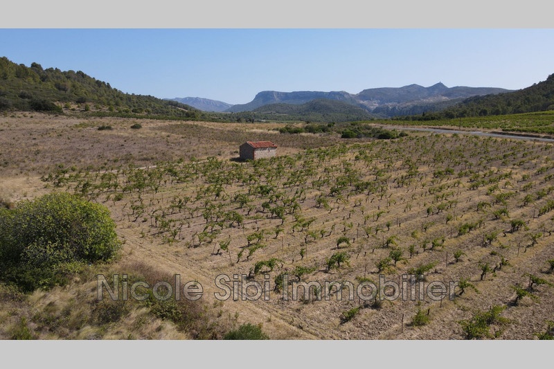 1 - verkoop terrein tautavel pyrénées-orientales frankrijk