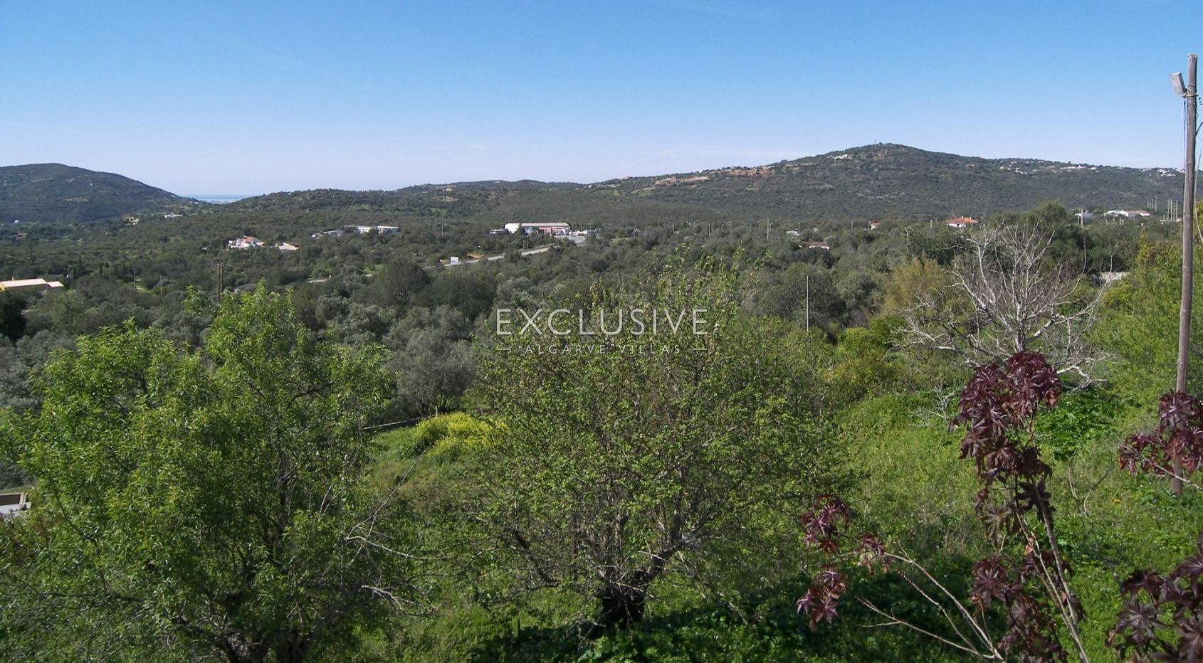 2 - vendita terreno são brás de alportel algarve portogallo