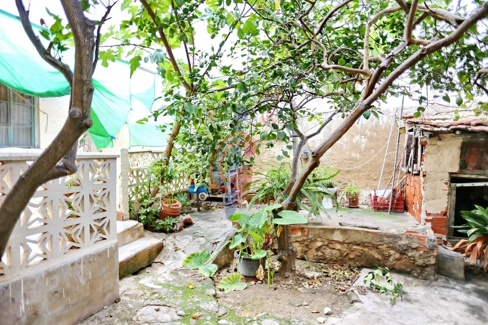 2 - verkoop huis guardamar del segura valencian community spanje