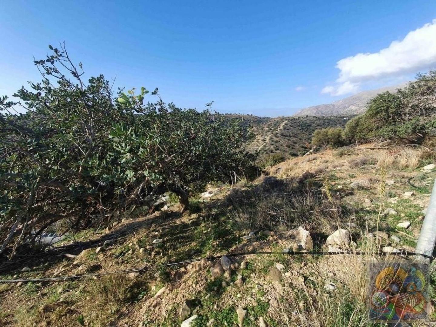 1 - plot of land for sale in agia galini crete greece