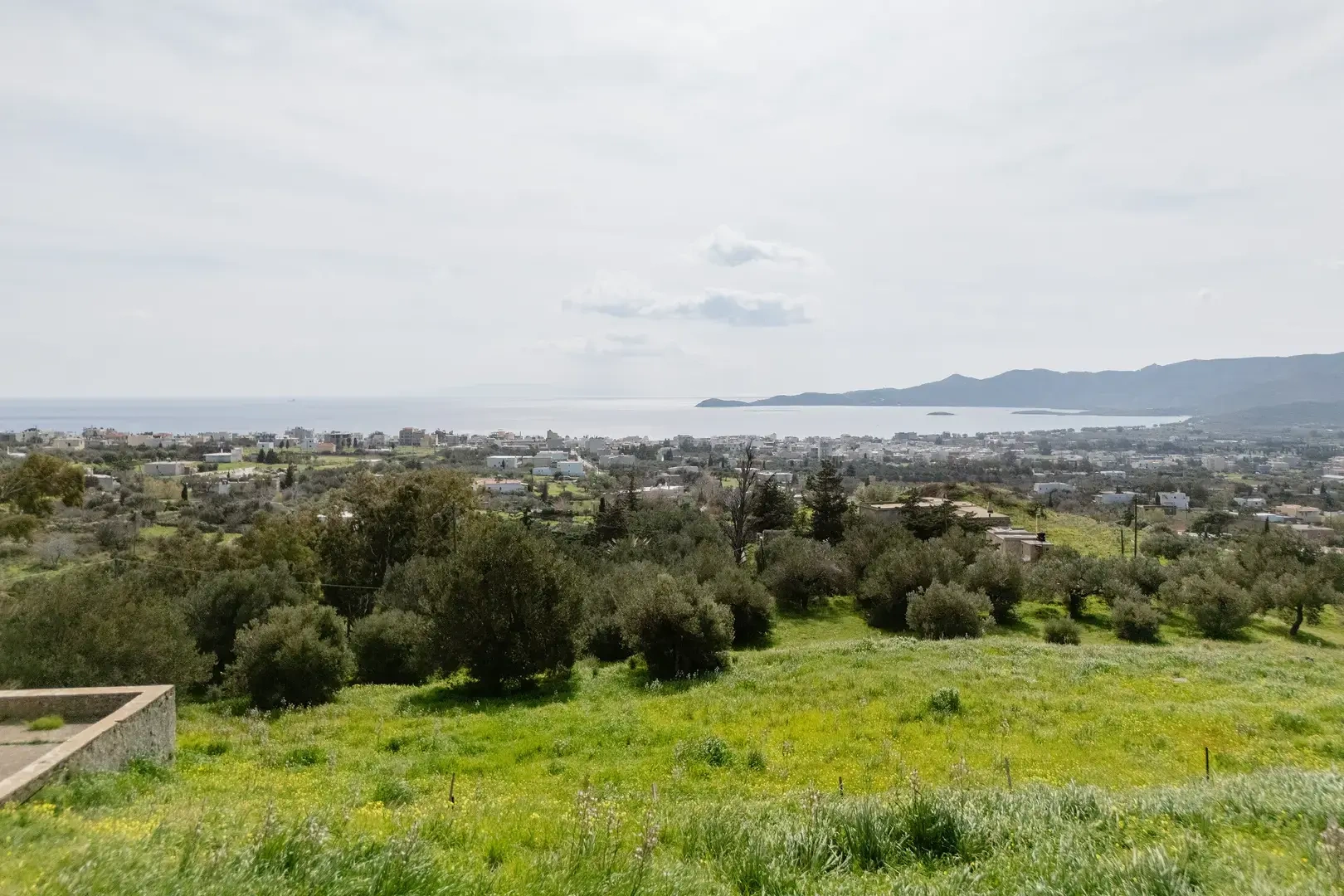 1 - vente terrain vue mer kárystos grèce centrale grèce