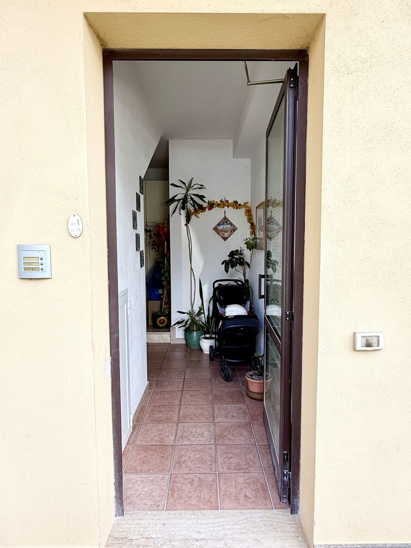 l_amo_20 · Tarquinia, image size:810x1080