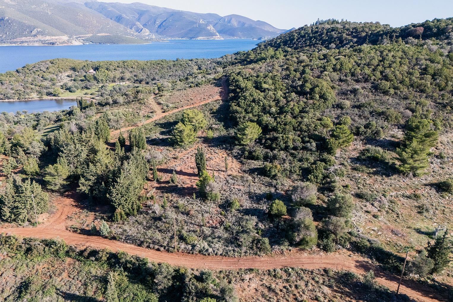2 - vente terrain trizonía grèce centrale grèce