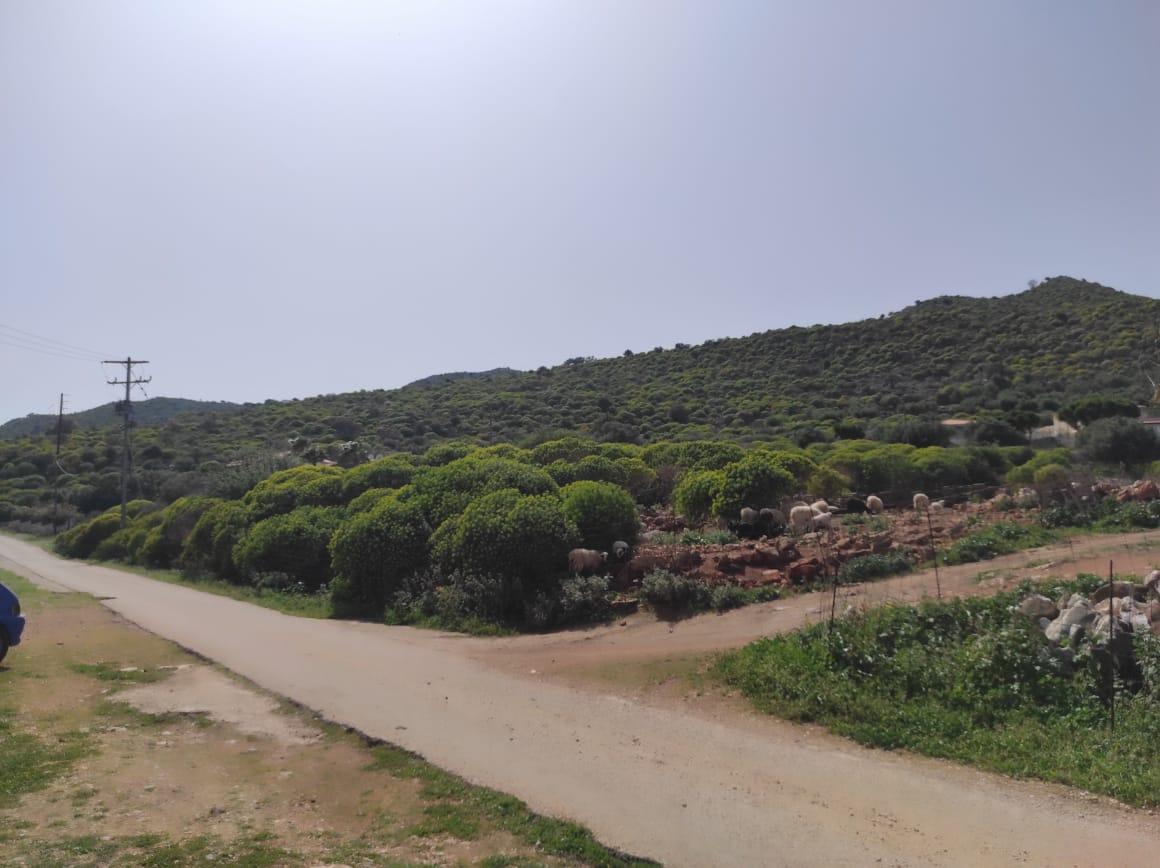 2 - vente terrain vue mer kefalás crète grèce