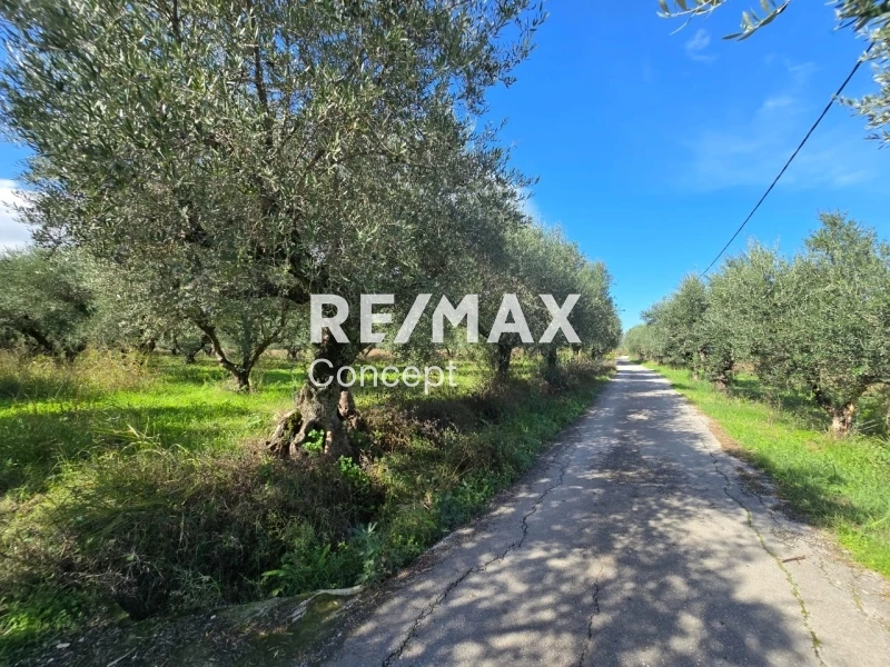 2 - venta terreno zante islas jónicas grecia