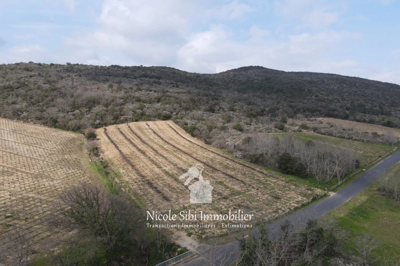1 - verkoop terrein lansac pyrénées-orientales frankrijk
