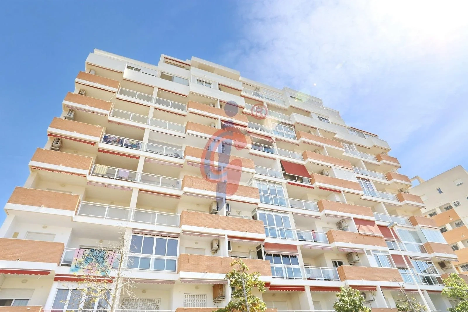 1 - продажа квартира guardamar del segura валенсия испания