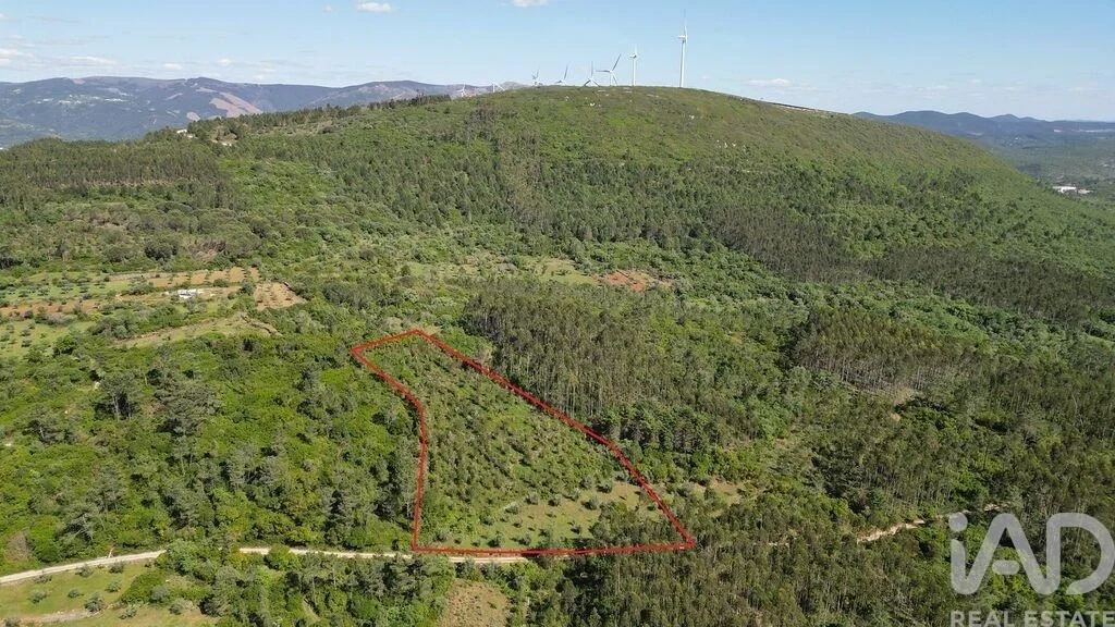 1 - venta terreno alvorge región centro portugal