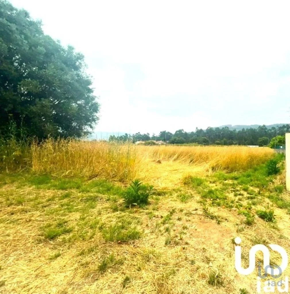 2 - business for sale in viana do castelo north region portugal