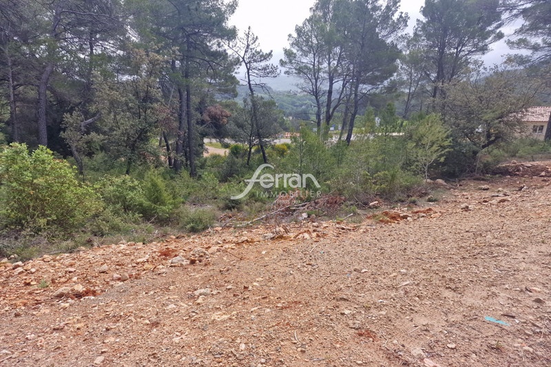 1 - vente terrain salernes var france