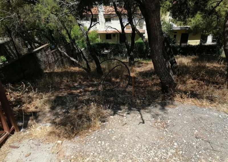 1 - vente terrain nea penteli attique grèce