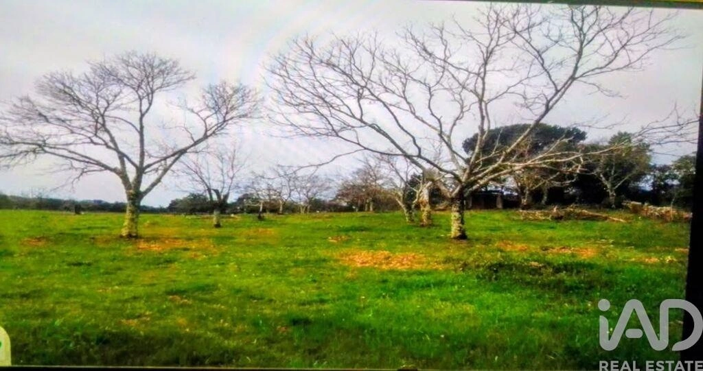 2 - verkoop terrein portalegre alentejo portugal