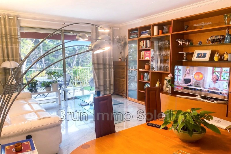1 - vente appartement cagnes-sur-mer alpes-maritimes france