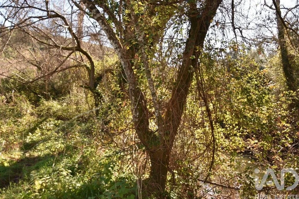 1 - venta terreno ourém región centro portugal
