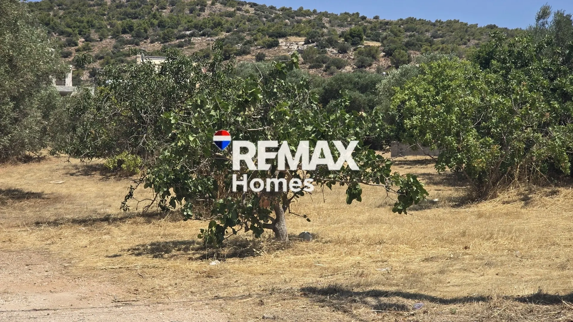 2 - venta terreno vari ática grecia