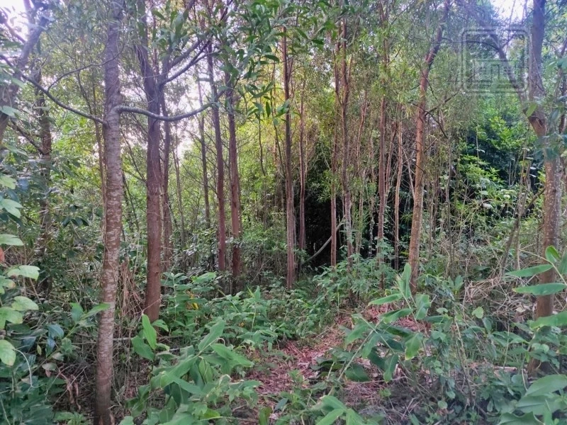 2 - venta terreno ponta delgada las azores portugal