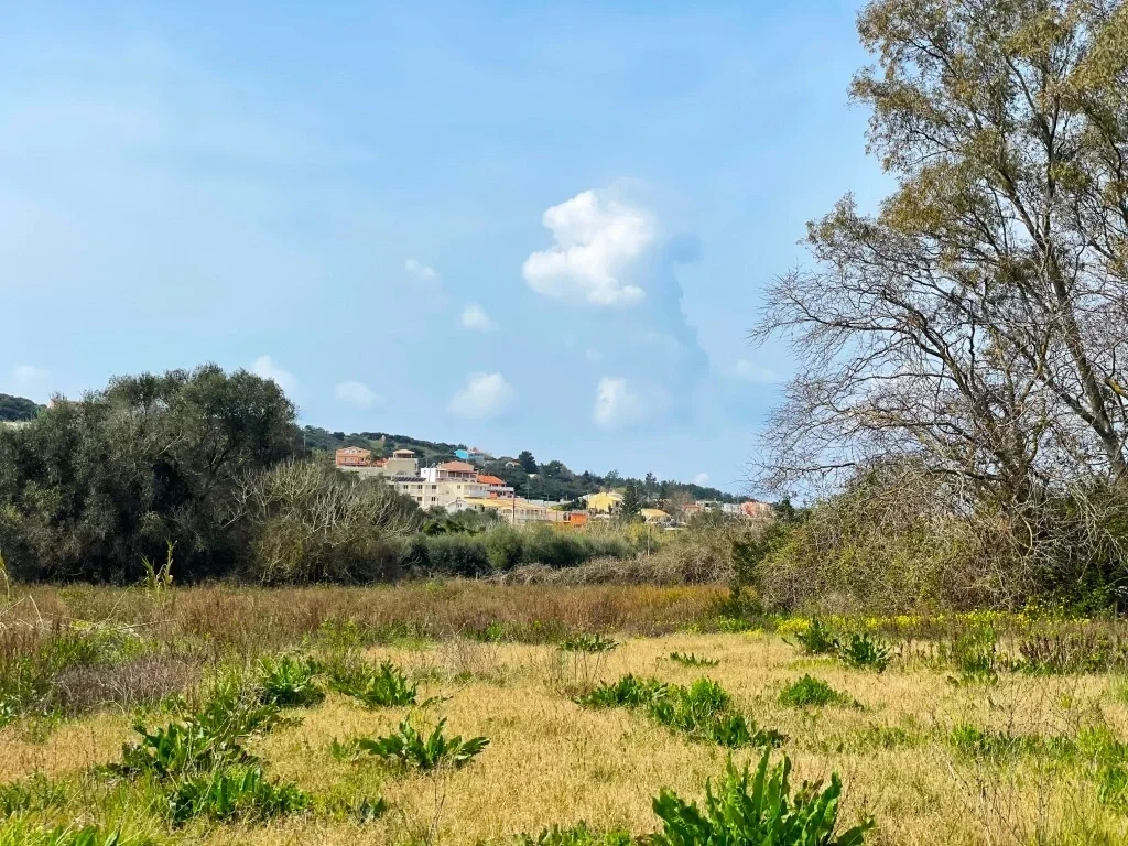 Terreno de 7 497 m²