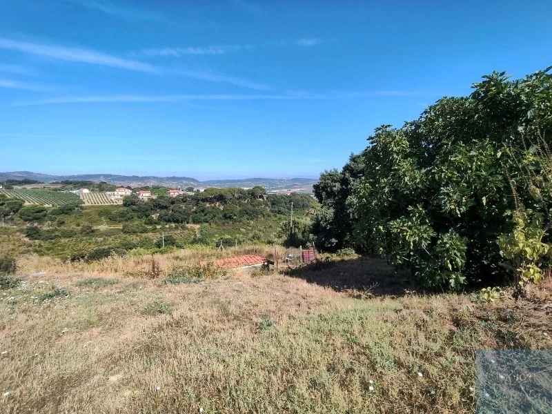 1 - plot of land for sale in cardosas lisbon region portugal