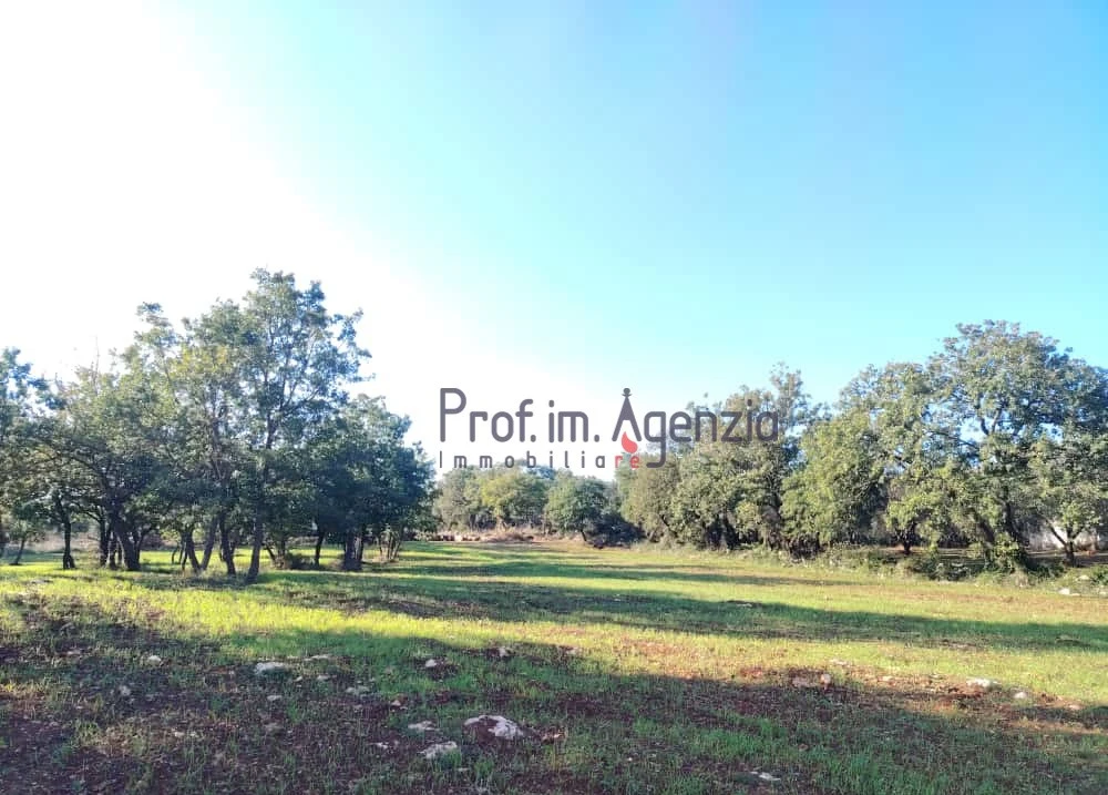 1 - plot of land for sale in ostuni apulia italy