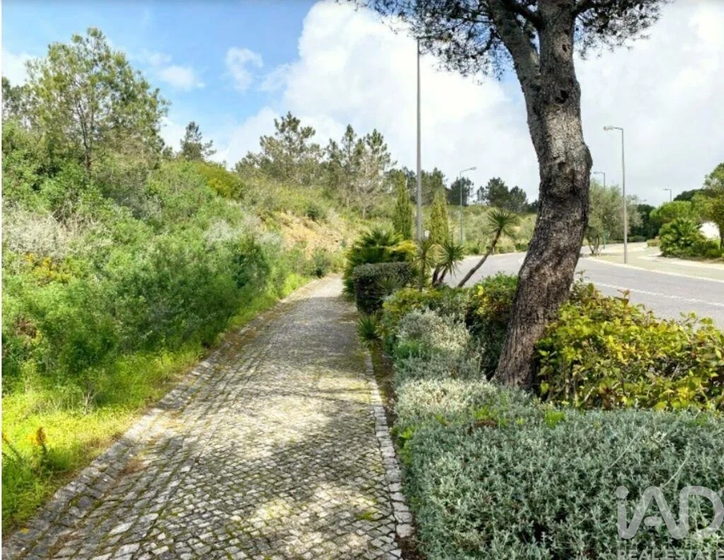 1 - vendita terreno sintra regione lisbona portogallo