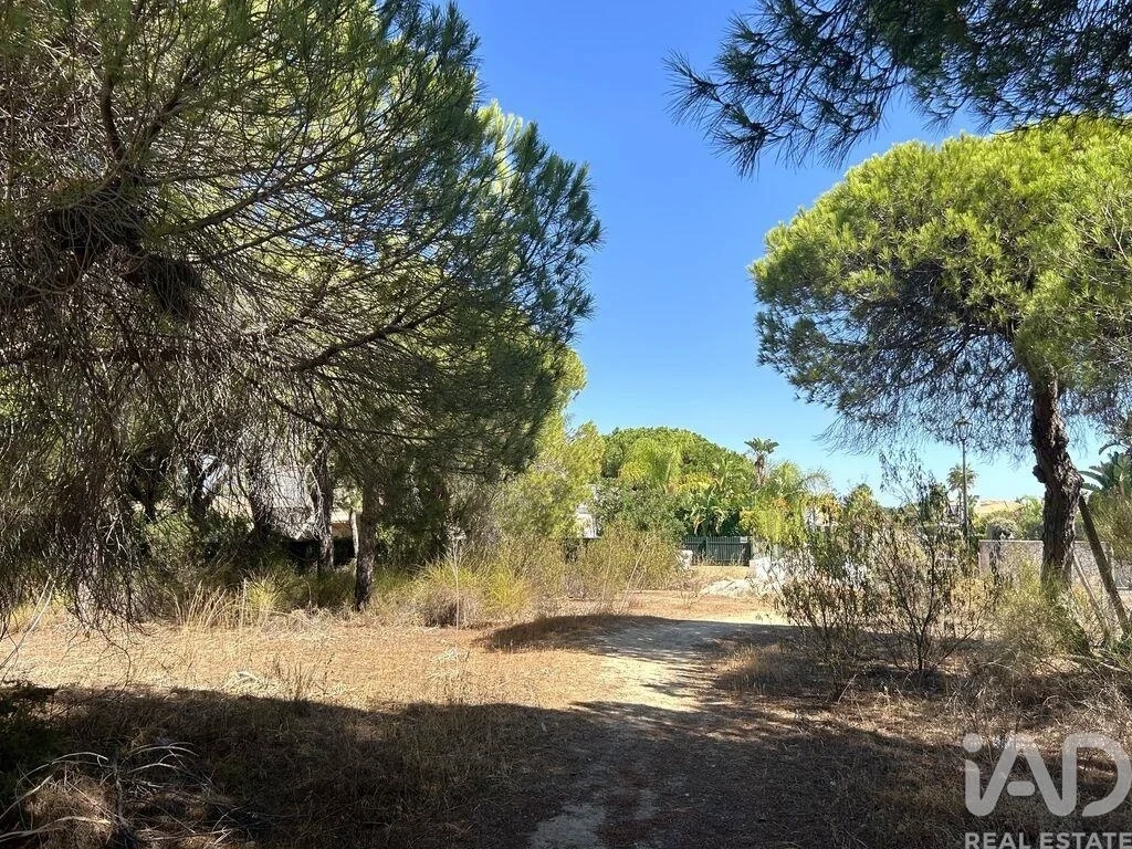 1 - plot of land for sale in almancil algarve portugal
