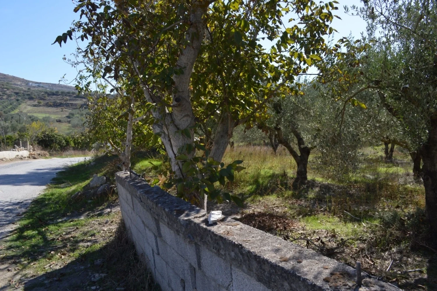 2 - vente appartement salò lombardie italie
