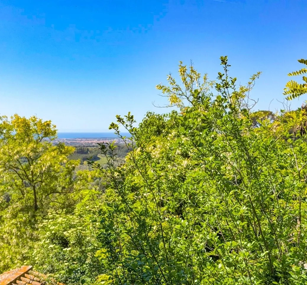 1 - venta apartamento vista al mar casale marittimo toscana italia
