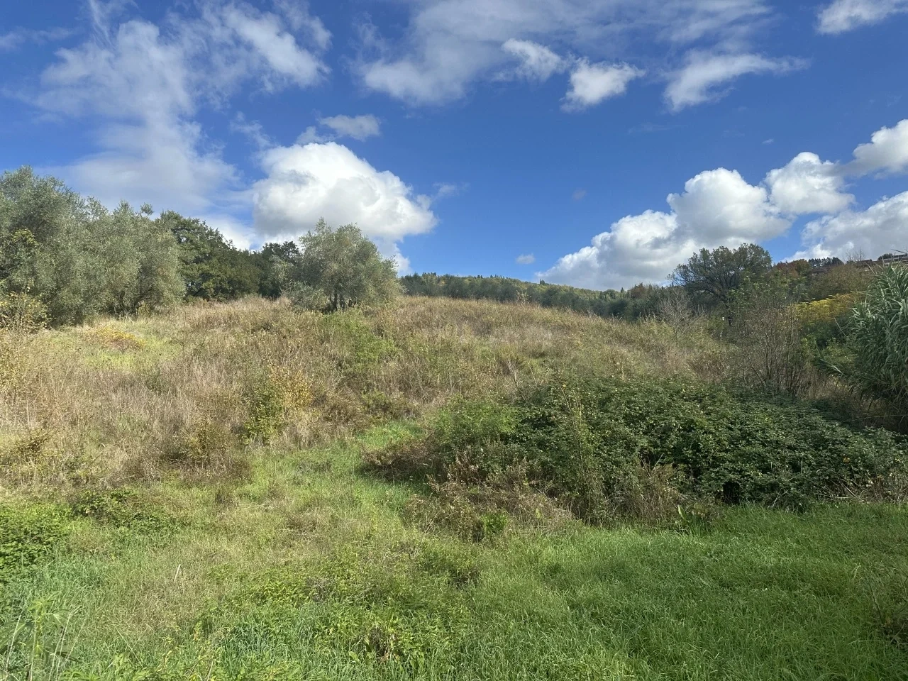 2 - plot of land for sale in pelago tuscany italy
