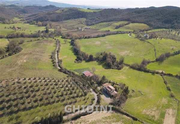 1 - venta comercio cinigiano toscana italia