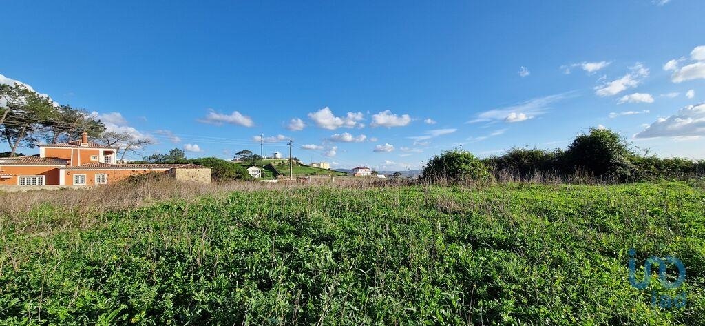 2 - plot of land for sale in mafra lisbon region portugal