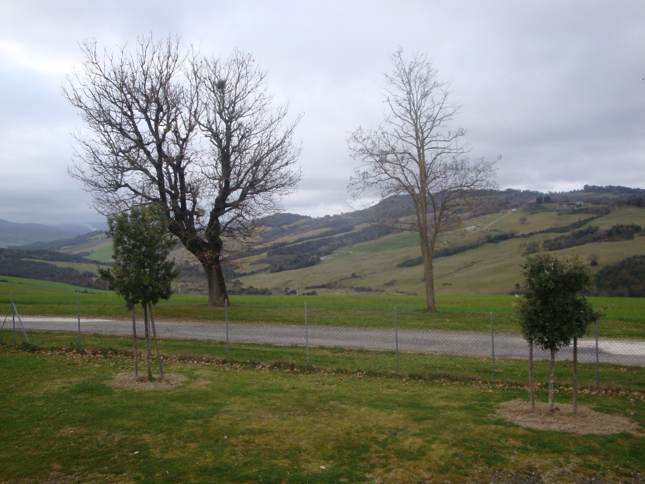 2 - vente terrain pomarance toscane italie