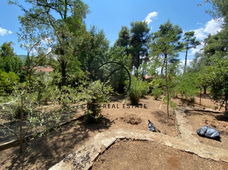 1 - vente terrain ekali attique grèce