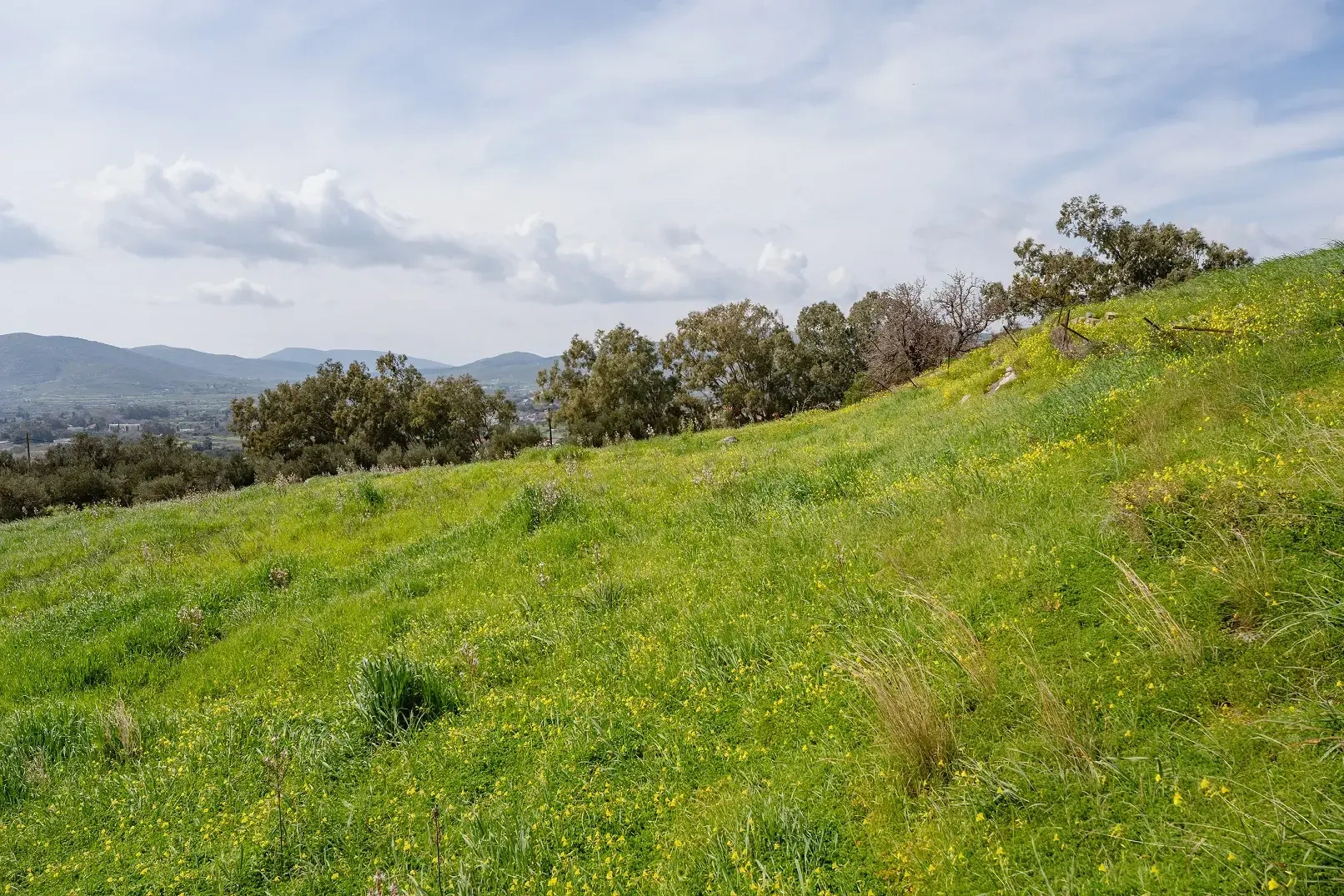 2 - vente terrain vue mer kárystos grèce centrale grèce