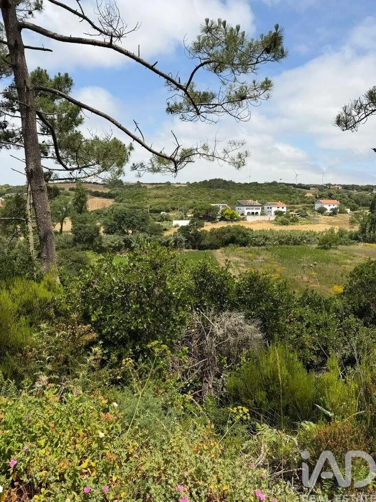 1 - plot of land for sale in santo isidoro lisbon region portugal