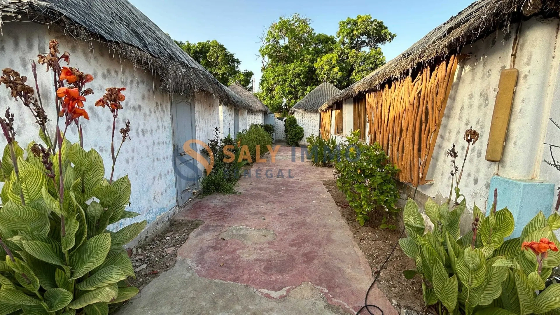 2 - verkauf anwesen ngaparou thiès senegal